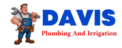 Trusted plumber in DADEVILLE